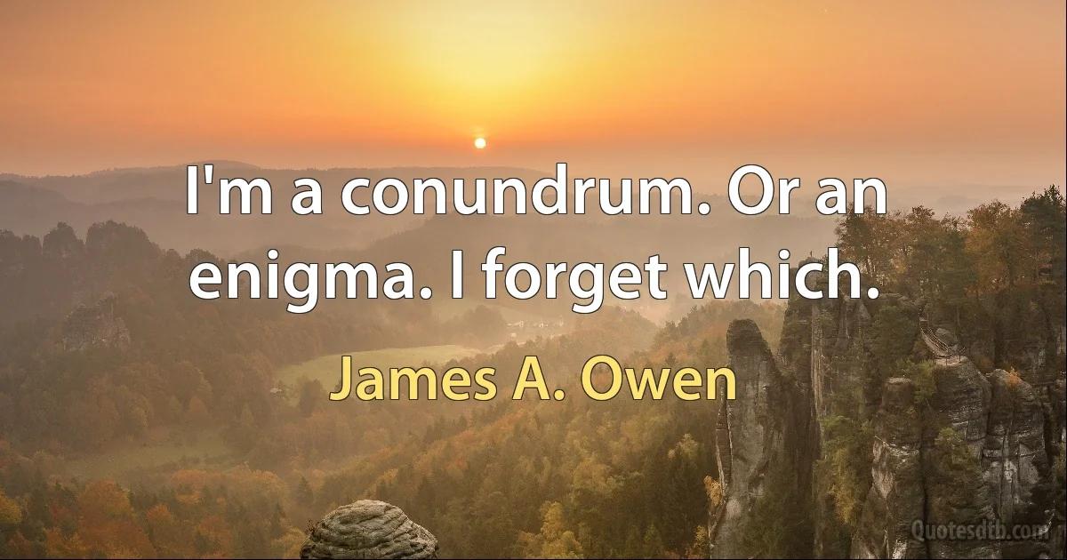 I'm a conundrum. Or an enigma. I forget which. (James A. Owen)