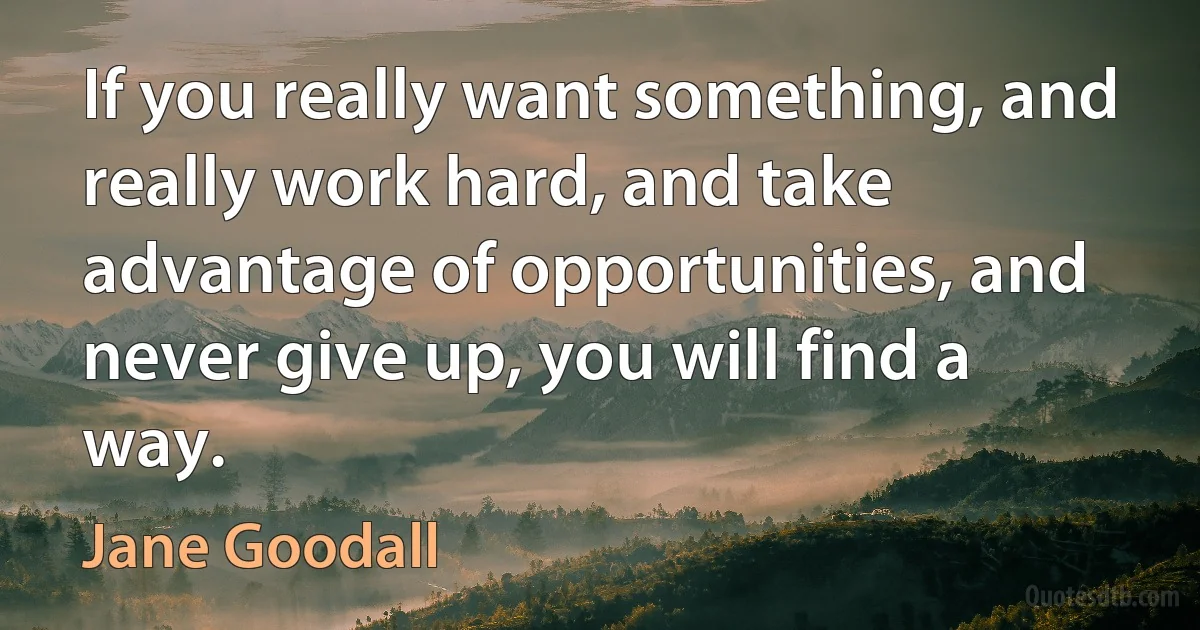 If you really want something, and really work hard, and take advantage of opportunities, and never give up, you will find a way. (Jane Goodall)