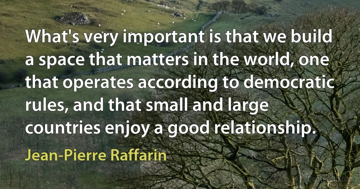 What's very important is that we build a space that matters in the world, one that operates according to democratic rules, and that small and large countries enjoy a good relationship. (Jean-Pierre Raffarin)