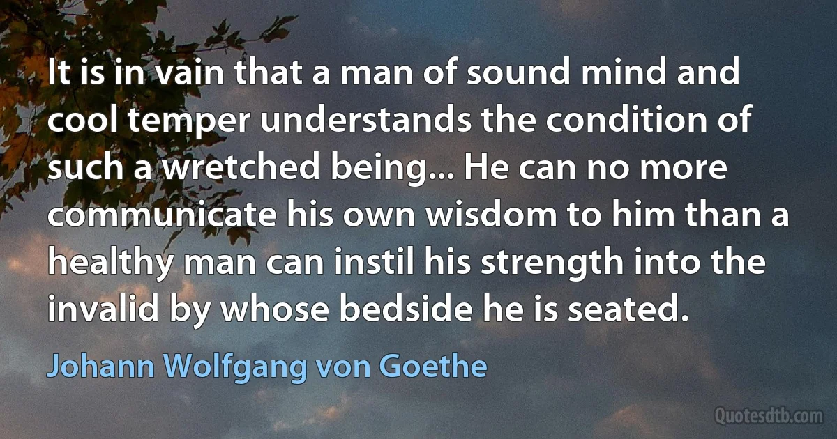 It is in vain that a man of sound mind and cool temper understands the condition of such a wretched being... He can no more communicate his own wisdom to him than a healthy man can instil his strength into the invalid by whose bedside he is seated. (Johann Wolfgang von Goethe)