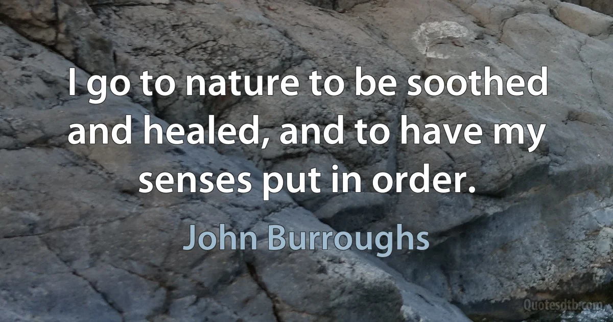 I go to nature to be soothed and healed, and to have my senses put in order. (John Burroughs)