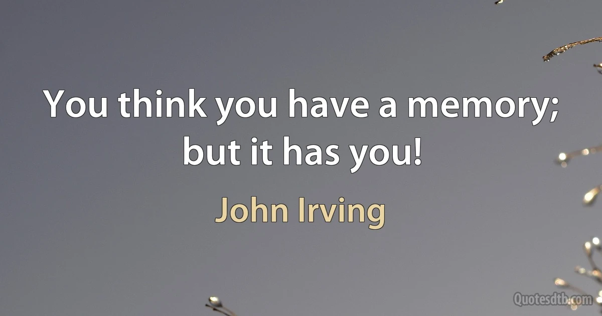 You think you have a memory; but it has you! (John Irving)