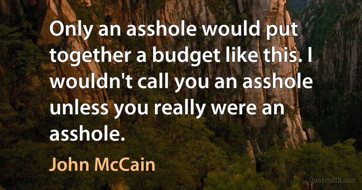 Only an asshole would put together a budget like this. I wouldn't call you an asshole unless you really were an asshole. (John McCain)