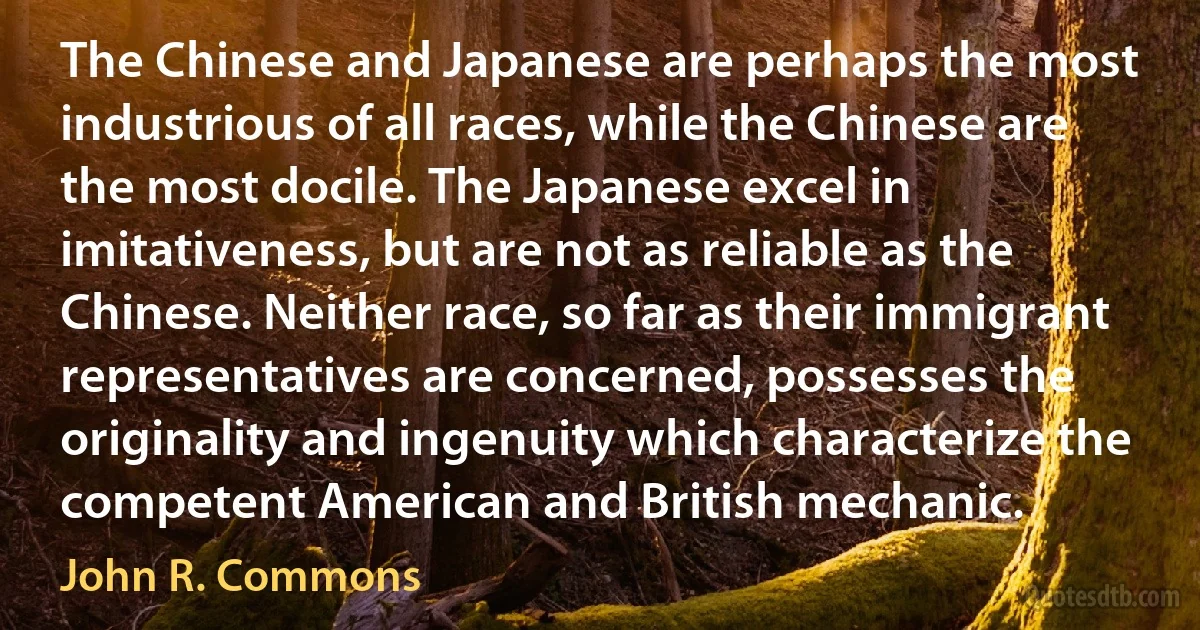 The Chinese and Japanese are perhaps the most industrious of all races, while the Chinese are the most docile. The Japanese excel in imitativeness, but are not as reliable as the Chinese. Neither race, so far as their immigrant representatives are concerned, possesses the originality and ingenuity which characterize the competent American and British mechanic. (John R. Commons)