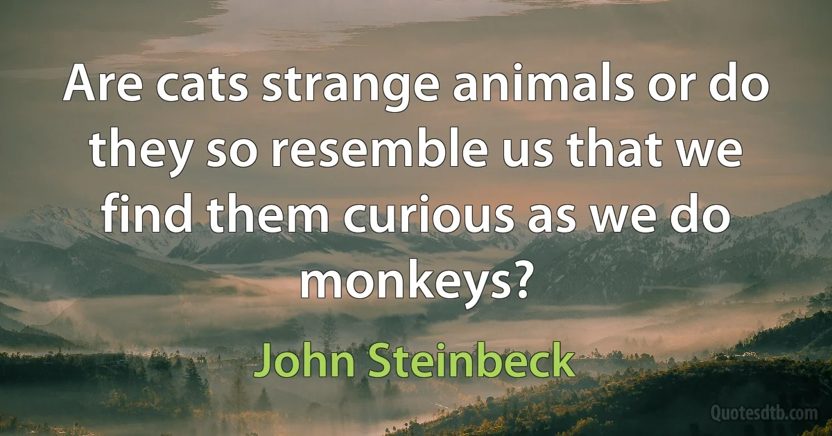 Are cats strange animals or do they so resemble us that we find them curious as we do monkeys? (John Steinbeck)