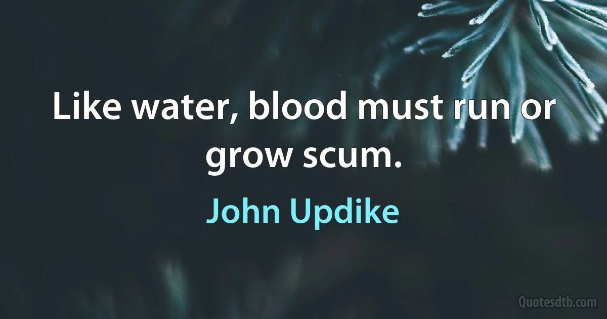 Like water, blood must run or grow scum. (John Updike)