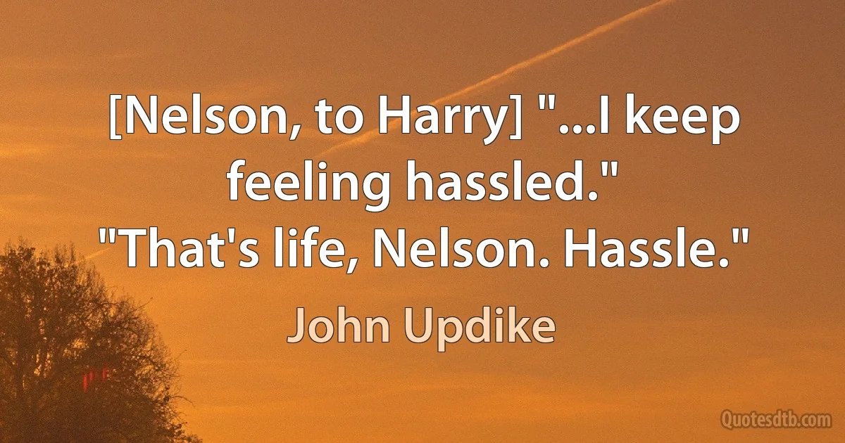 [Nelson, to Harry] "...I keep feeling hassled."
"That's life, Nelson. Hassle." (John Updike)