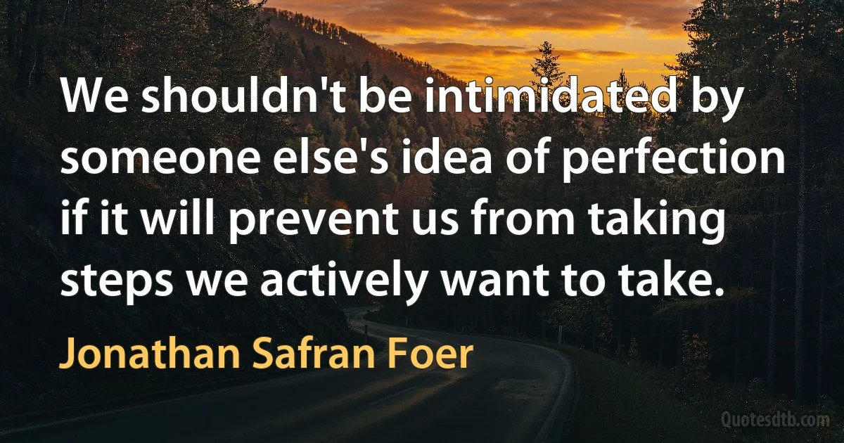 We shouldn't be intimidated by someone else's idea of perfection if it will prevent us from taking steps we actively want to take. (Jonathan Safran Foer)