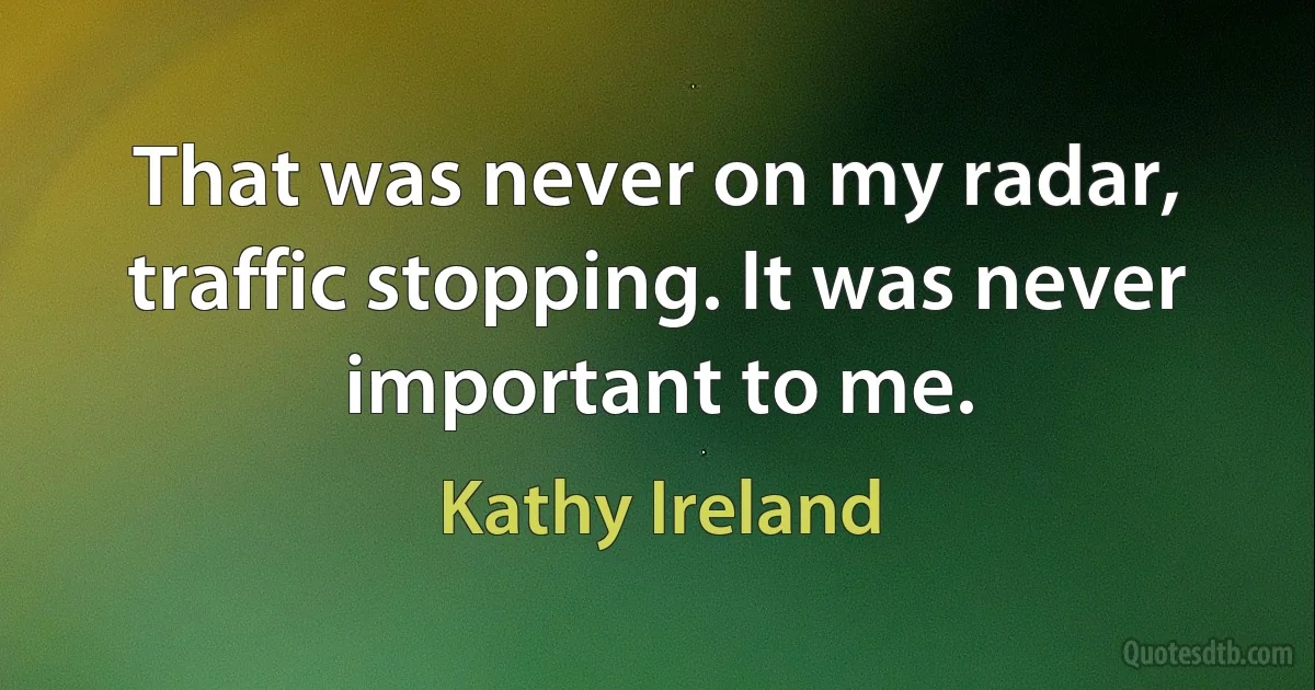 That was never on my radar, traffic stopping. It was never important to me. (Kathy Ireland)