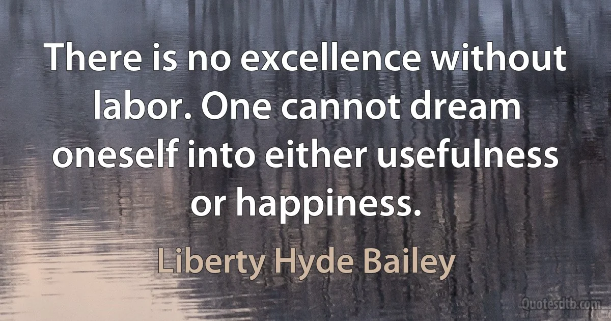 There is no excellence without labor. One cannot dream oneself into either usefulness or happiness. (Liberty Hyde Bailey)