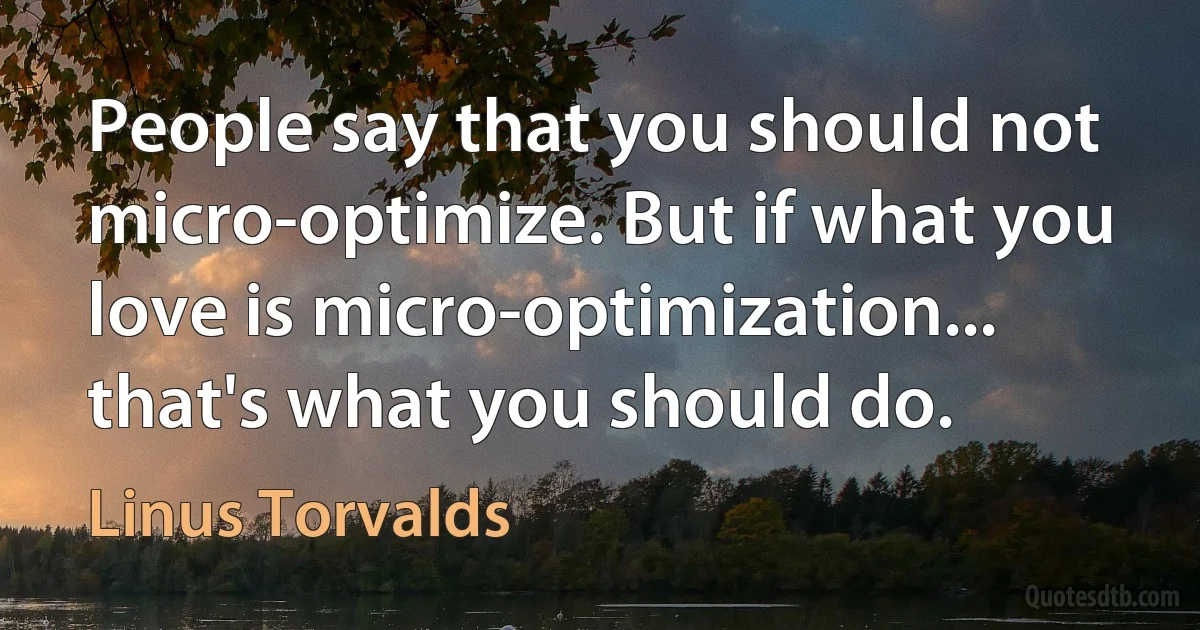 People say that you should not micro-optimize. But if what you love is micro-optimization... that's what you should do. (Linus Torvalds)