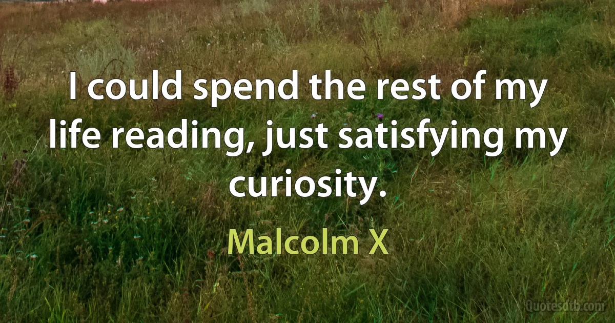 I could spend the rest of my life reading, just satisfying my curiosity. (Malcolm X)