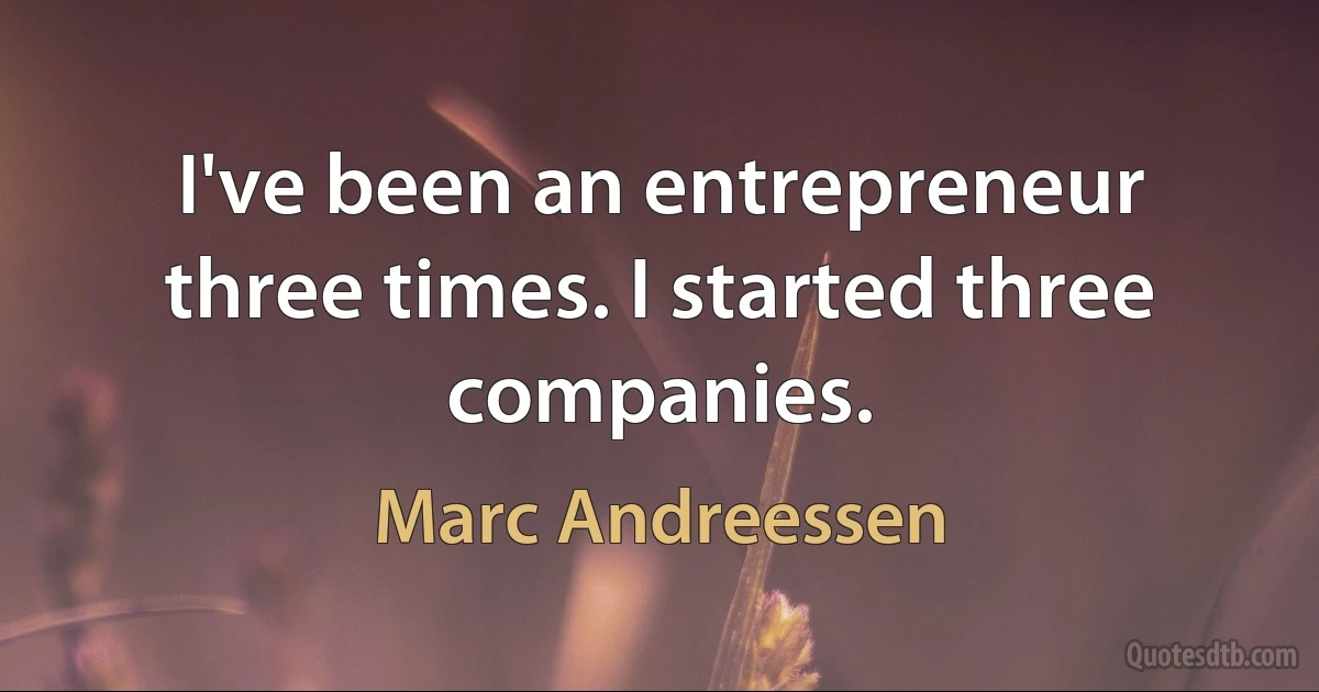 I've been an entrepreneur three times. I started three companies. (Marc Andreessen)