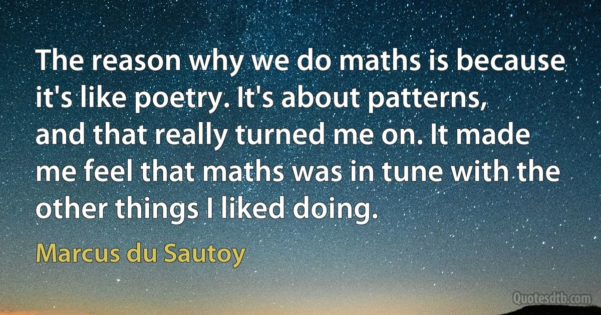 The reason why we do maths is because it's like poetry. It's about patterns, and that really turned me on. It made me feel that maths was in tune with the other things I liked doing. (Marcus du Sautoy)