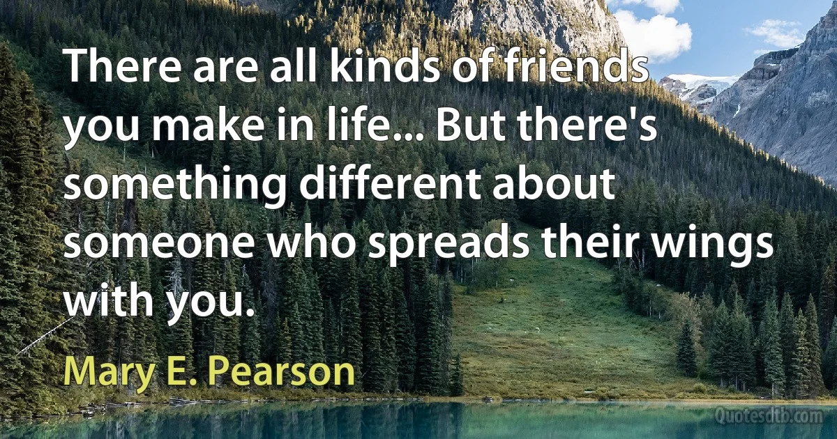 There are all kinds of friends you make in life... But there's something different about someone who spreads their wings with you. (Mary E. Pearson)