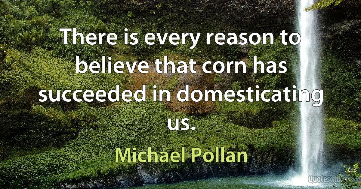 There is every reason to believe that corn has succeeded in domesticating us. (Michael Pollan)