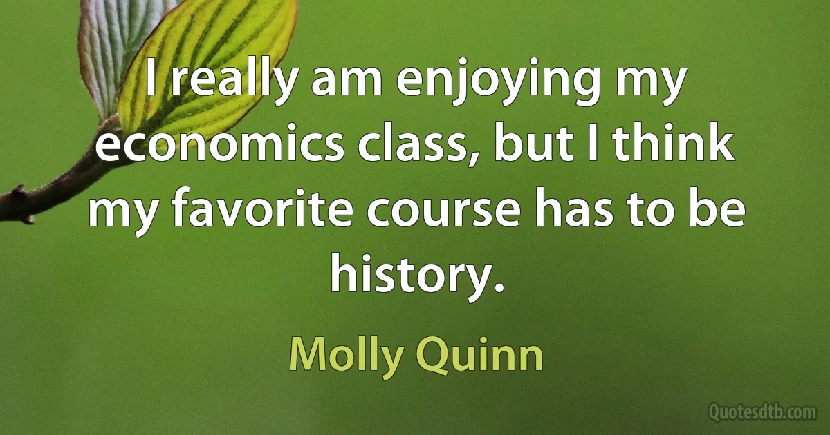 I really am enjoying my economics class, but I think my favorite course has to be history. (Molly Quinn)