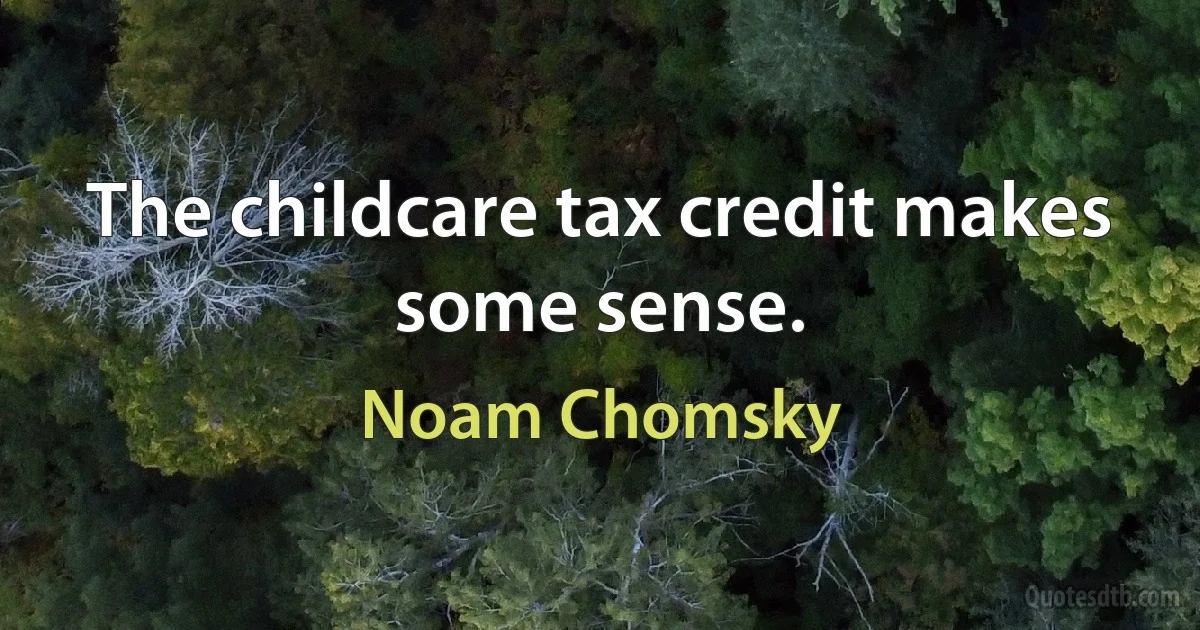 The childcare tax credit makes some sense. (Noam Chomsky)