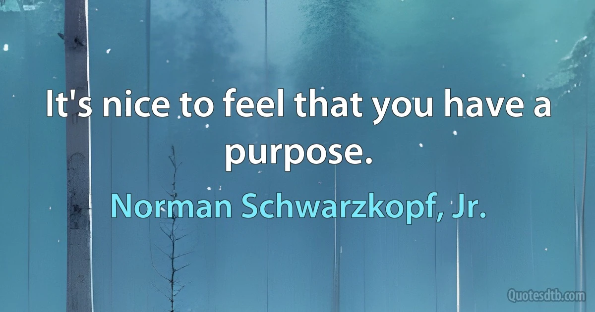 It's nice to feel that you have a purpose. (Norman Schwarzkopf, Jr.)