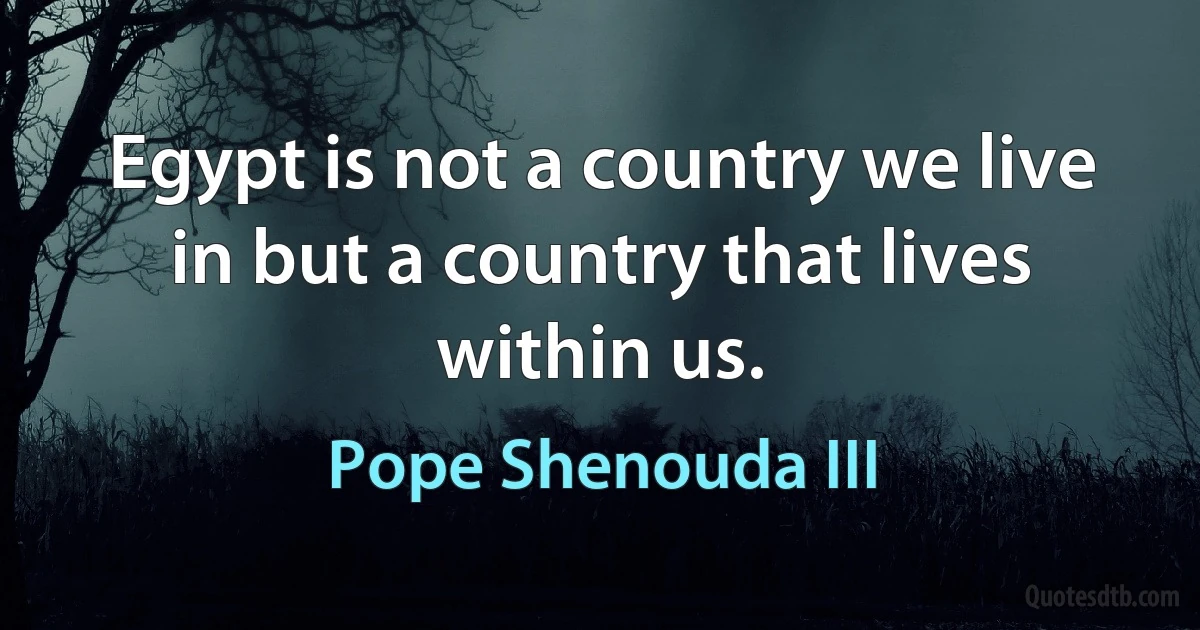 Egypt is not a country we live in but a country that lives within us. (Pope Shenouda III)