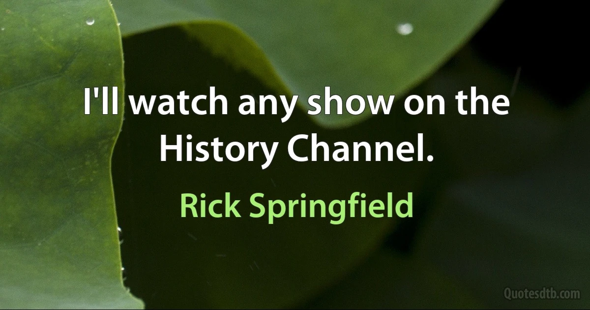 I'll watch any show on the History Channel. (Rick Springfield)