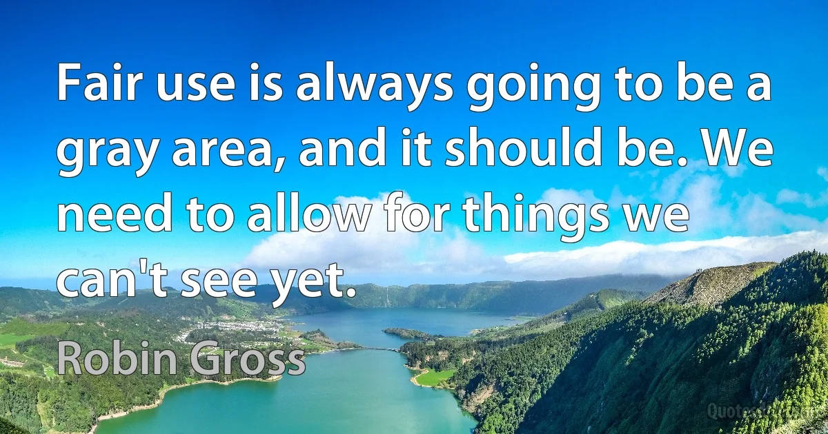 Fair use is always going to be a gray area, and it should be. We need to allow for things we can't see yet. (Robin Gross)