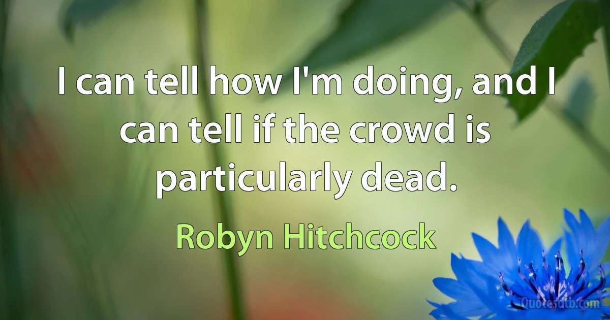 I can tell how I'm doing, and I can tell if the crowd is particularly dead. (Robyn Hitchcock)