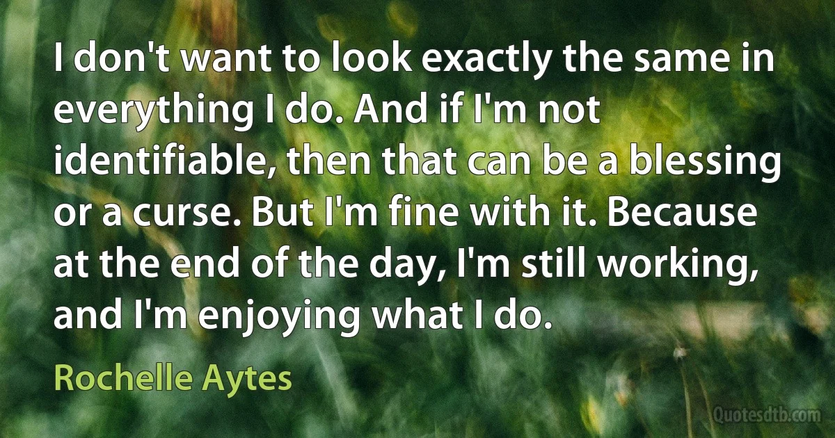 I don't want to look exactly the same in everything I do. And if I'm not identifiable, then that can be a blessing or a curse. But I'm fine with it. Because at the end of the day, I'm still working, and I'm enjoying what I do. (Rochelle Aytes)