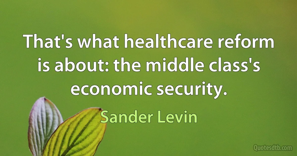 That's what healthcare reform is about: the middle class's economic security. (Sander Levin)