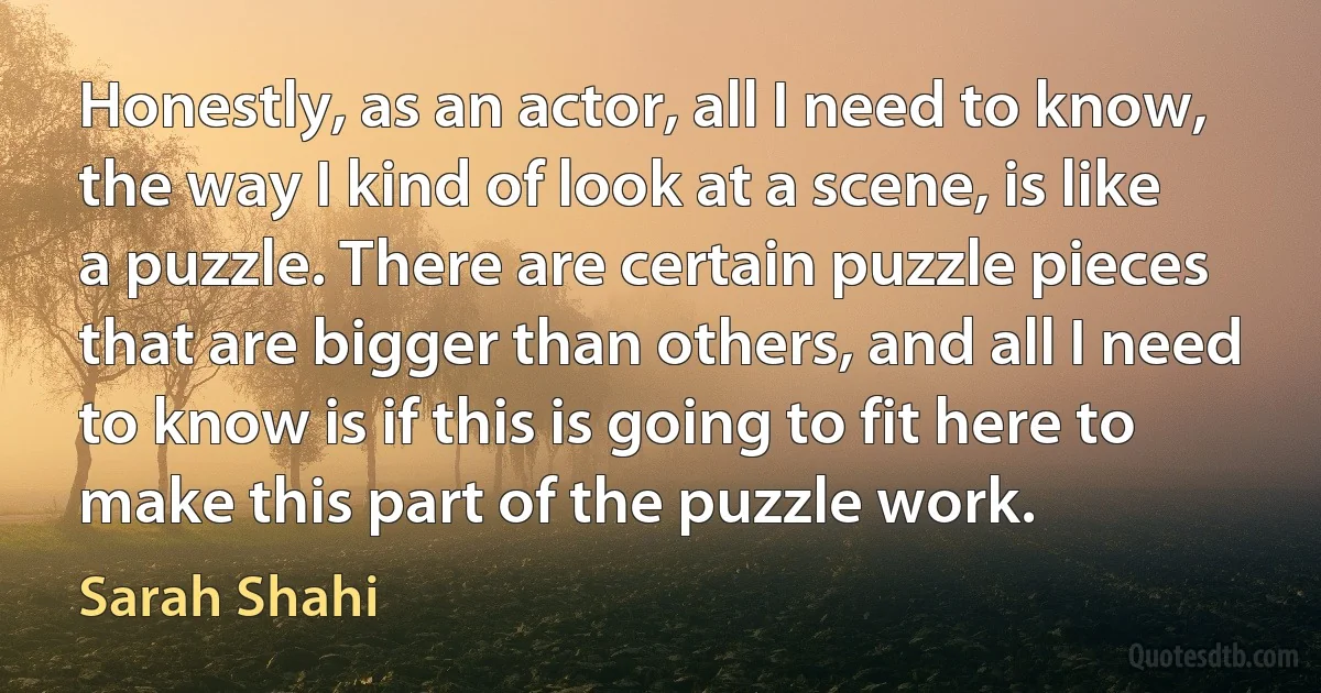 Honestly, as an actor, all I need to know, the way I kind of look at a scene, is like a puzzle. There are certain puzzle pieces that are bigger than others, and all I need to know is if this is going to fit here to make this part of the puzzle work. (Sarah Shahi)