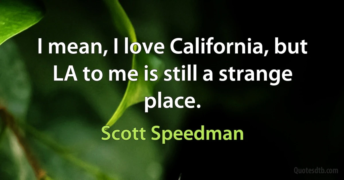 I mean, I love California, but LA to me is still a strange place. (Scott Speedman)