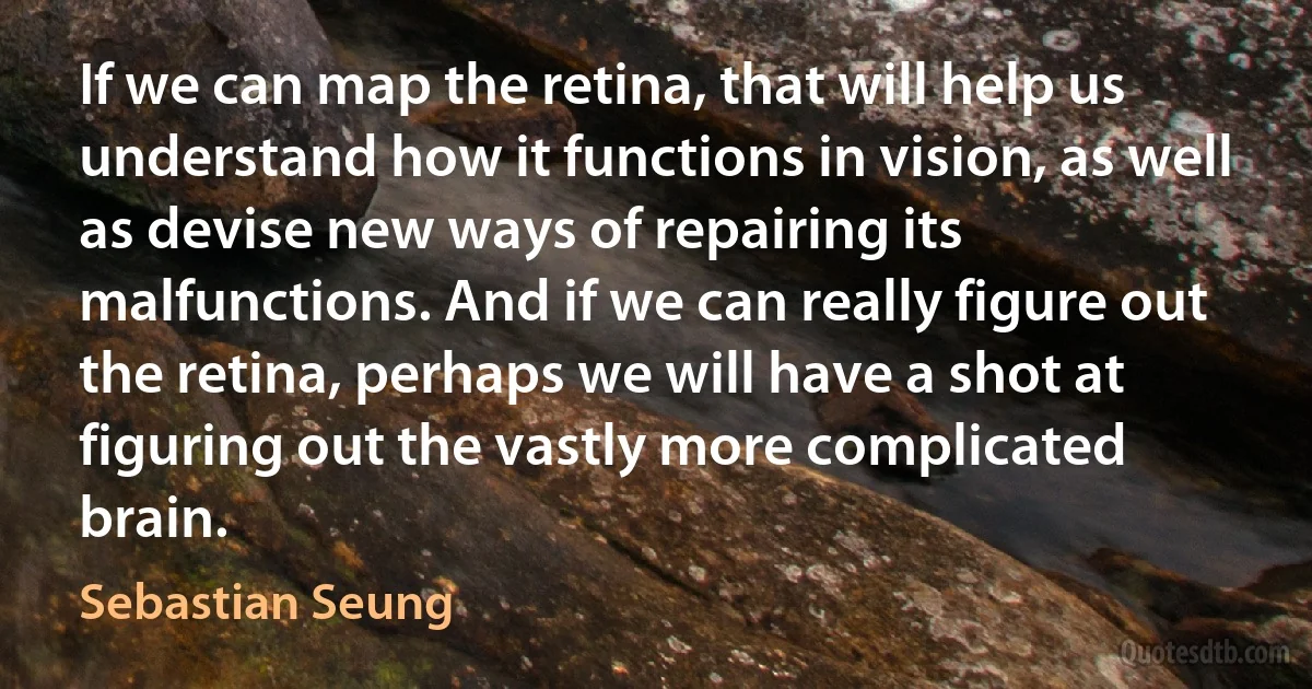 If we can map the retina, that will help us understand how it functions in vision, as well as devise new ways of repairing its malfunctions. And if we can really figure out the retina, perhaps we will have a shot at figuring out the vastly more complicated brain. (Sebastian Seung)