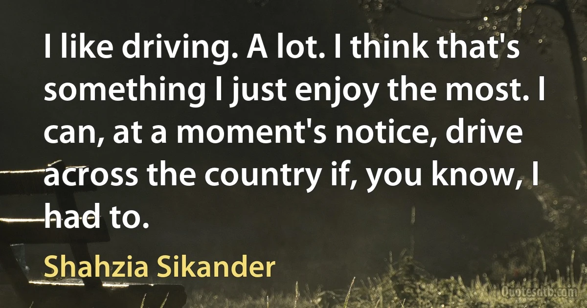 I like driving. A lot. I think that's something I just enjoy the most. I can, at a moment's notice, drive across the country if, you know, I had to. (Shahzia Sikander)