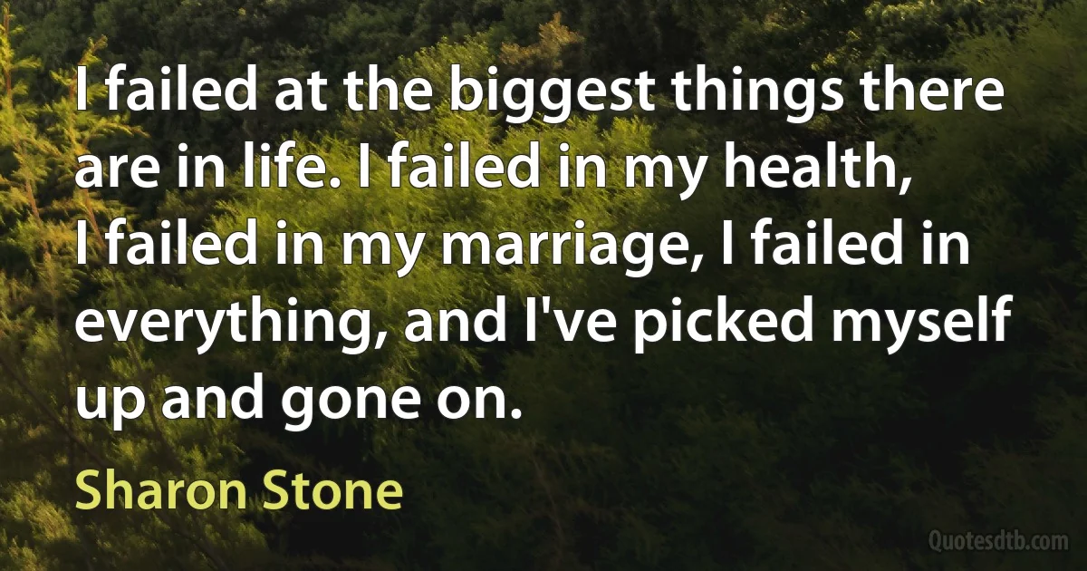 I failed at the biggest things there are in life. I failed in my health, I failed in my marriage, I failed in everything, and I've picked myself up and gone on. (Sharon Stone)