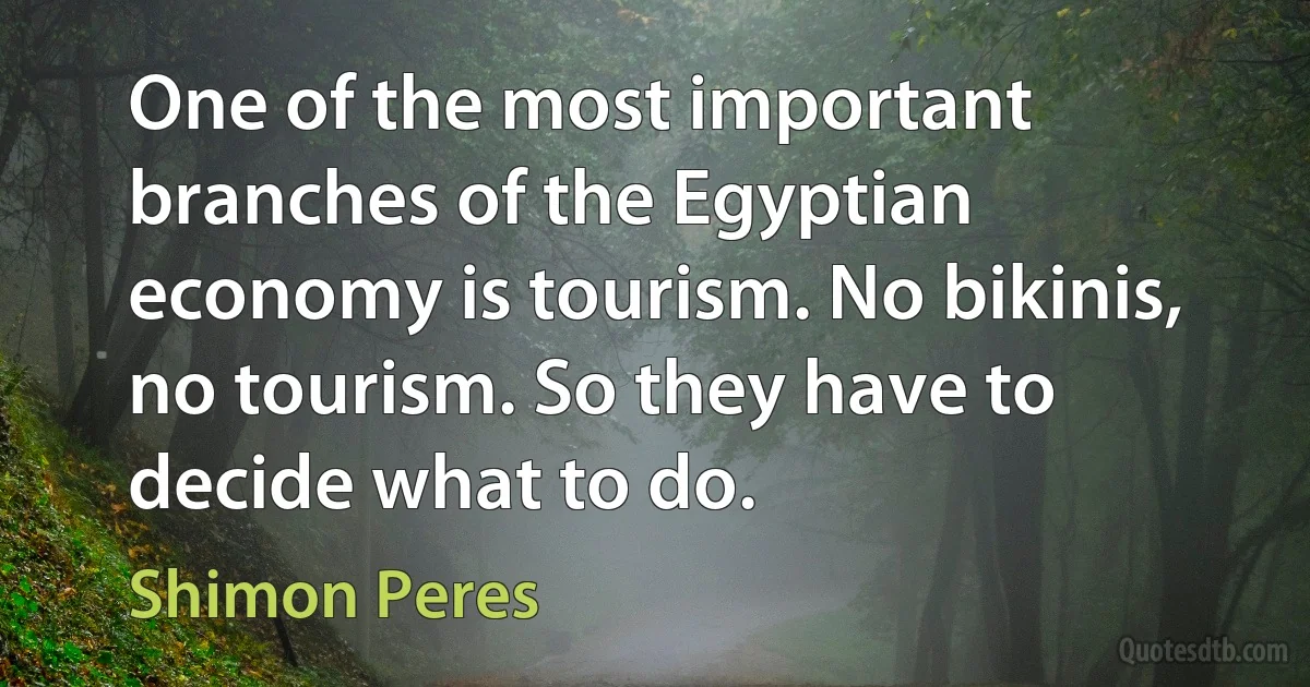 One of the most important branches of the Egyptian economy is tourism. No bikinis, no tourism. So they have to decide what to do. (Shimon Peres)