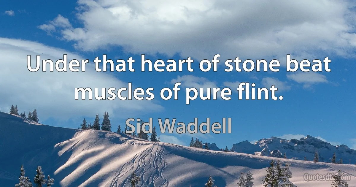 Under that heart of stone beat muscles of pure flint. (Sid Waddell)