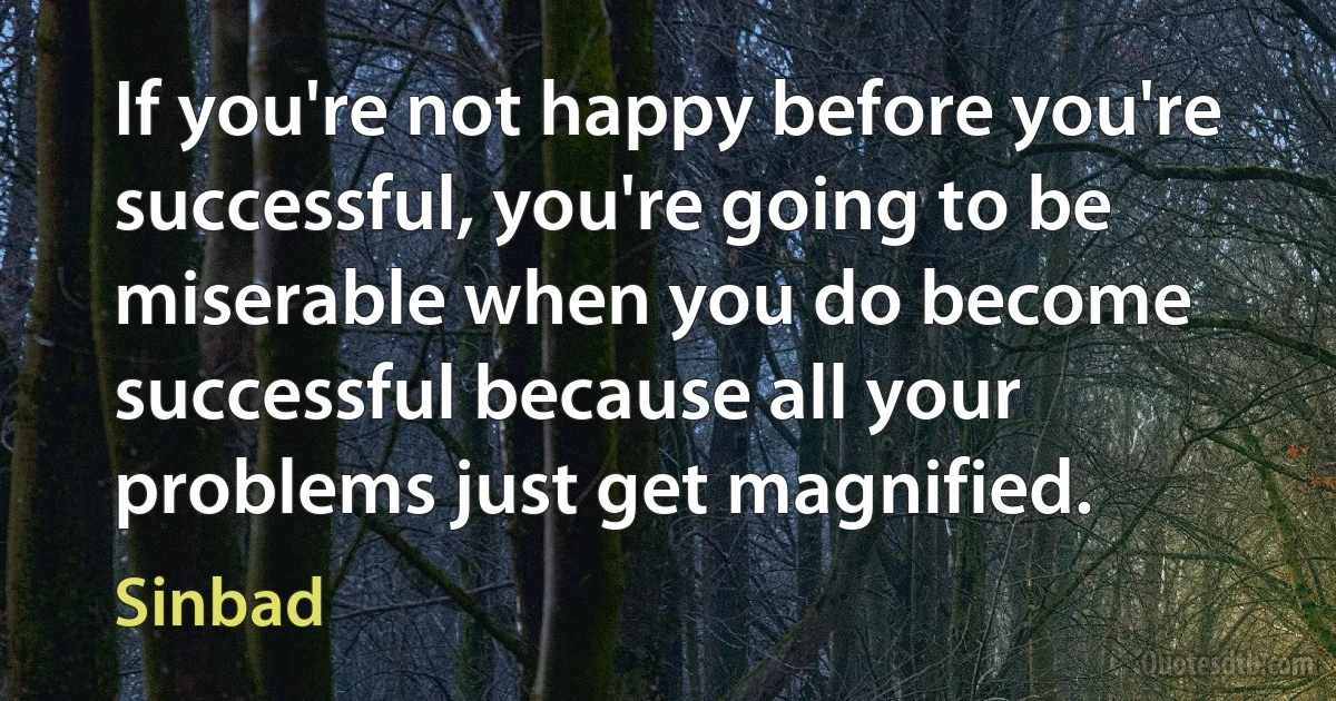 If you're not happy before you're successful, you're going to be miserable when you do become successful because all your problems just get magnified. (Sinbad)