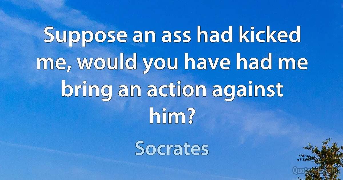 Suppose an ass had kicked me, would you have had me bring an action against him? (Socrates)