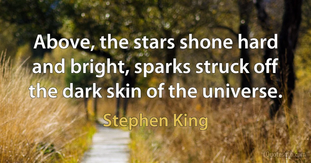 Above, the stars shone hard and bright, sparks struck off the dark skin of the universe. (Stephen King)