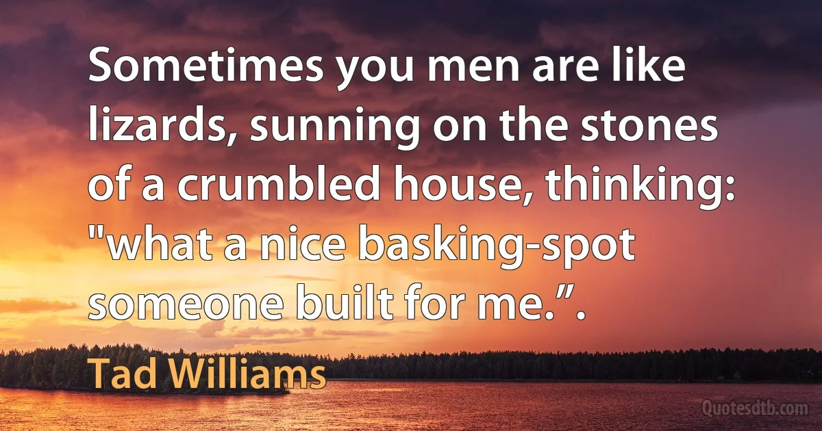 Sometimes you men are like lizards, sunning on the stones of a crumbled house, thinking: "what a nice basking-spot someone built for me.”. (Tad Williams)