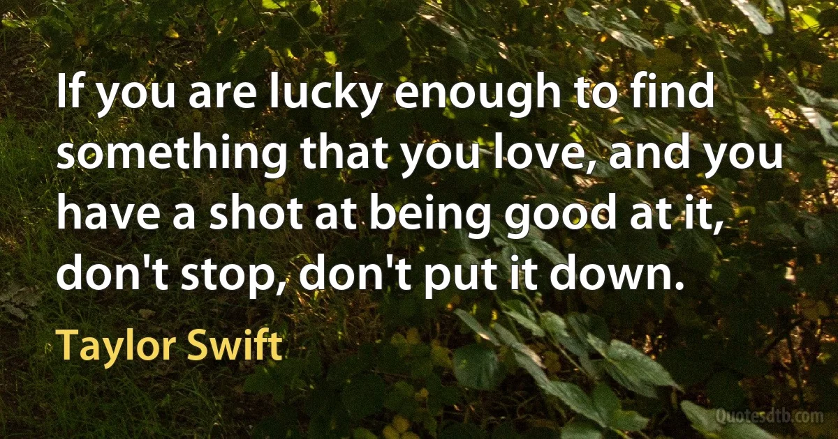 If you are lucky enough to find something that you love, and you have a shot at being good at it, don't stop, don't put it down. (Taylor Swift)