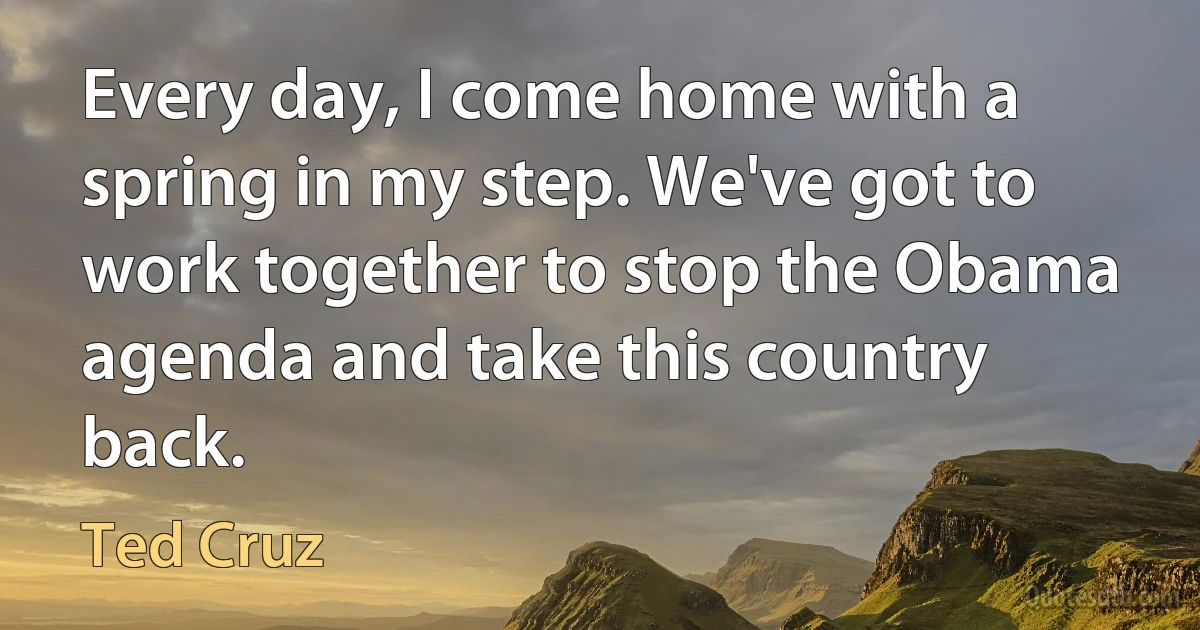 Every day, I come home with a spring in my step. We've got to work together to stop the Obama agenda and take this country back. (Ted Cruz)