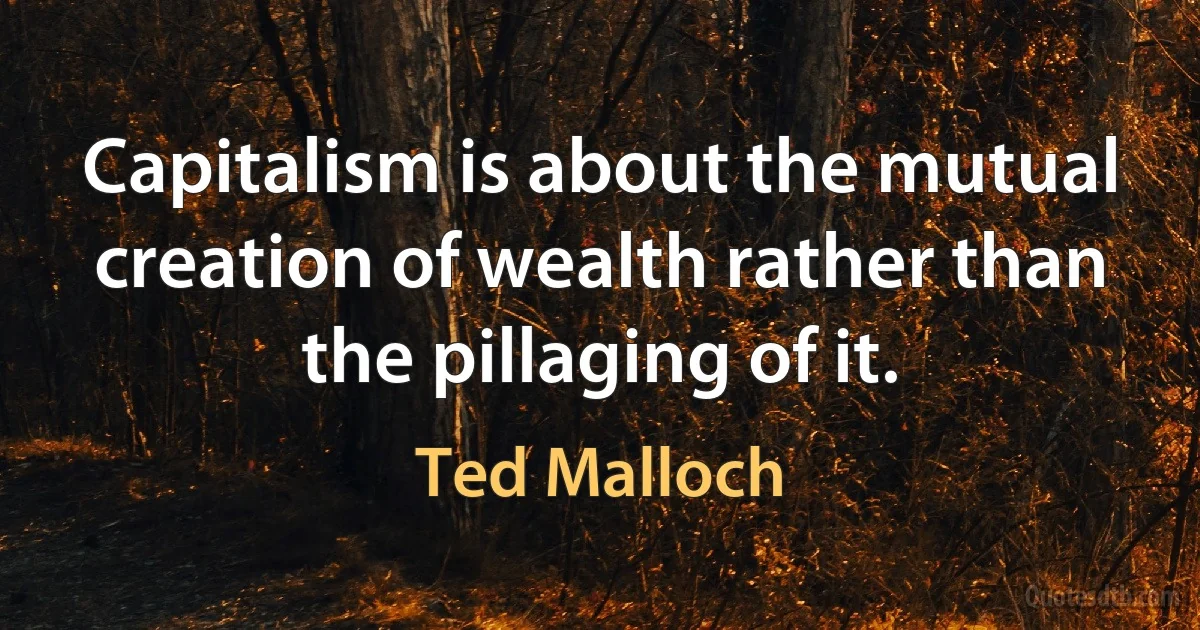 Capitalism is about the mutual creation of wealth rather than the pillaging of it. (Ted Malloch)