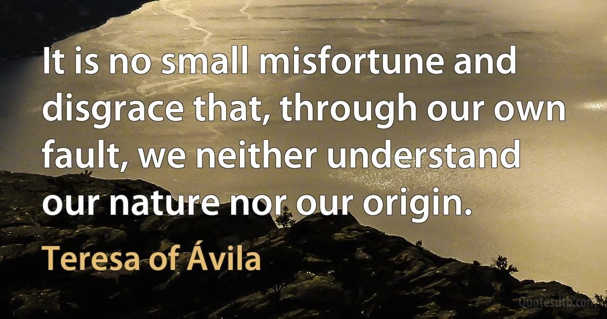 It is no small misfortune and disgrace that, through our own fault, we neither understand our nature nor our origin. (Teresa of Ávila)