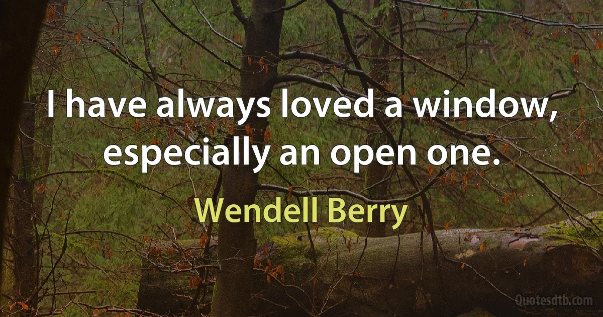 I have always loved a window, especially an open one. (Wendell Berry)