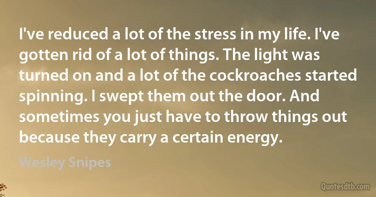 I've reduced a lot of the stress in my life. I've gotten rid of a lot of things. The light was turned on and a lot of the cockroaches started spinning. I swept them out the door. And sometimes you just have to throw things out because they carry a certain energy. (Wesley Snipes)