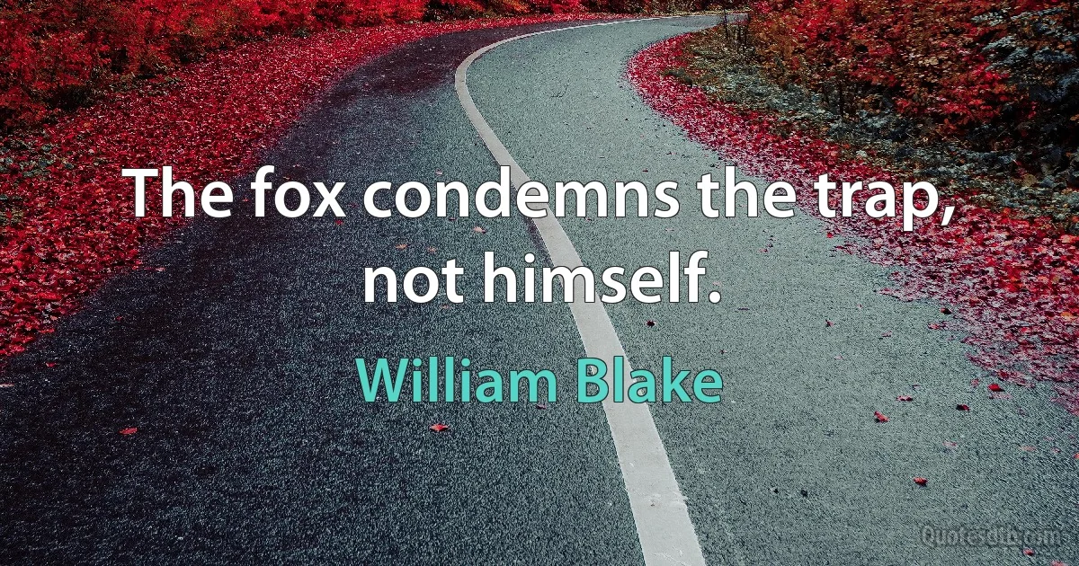 The fox condemns the trap, not himself. (William Blake)