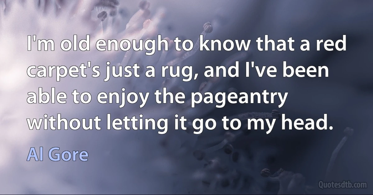 I'm old enough to know that a red carpet's just a rug, and I've been able to enjoy the pageantry without letting it go to my head. (Al Gore)