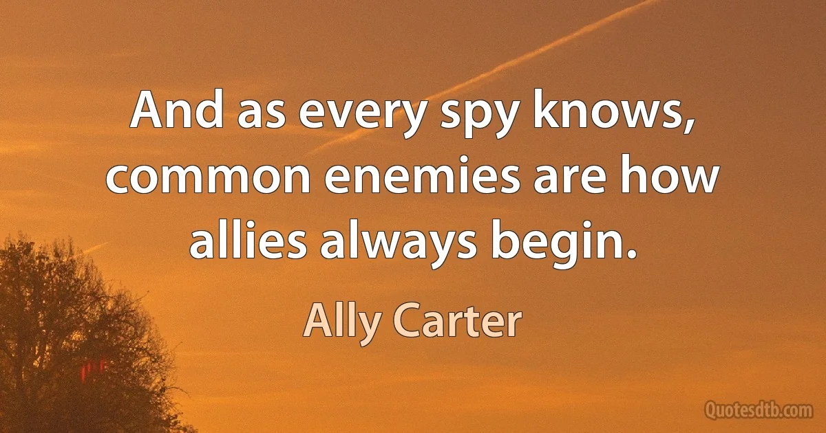 And as every spy knows, common enemies are how allies always begin. (Ally Carter)