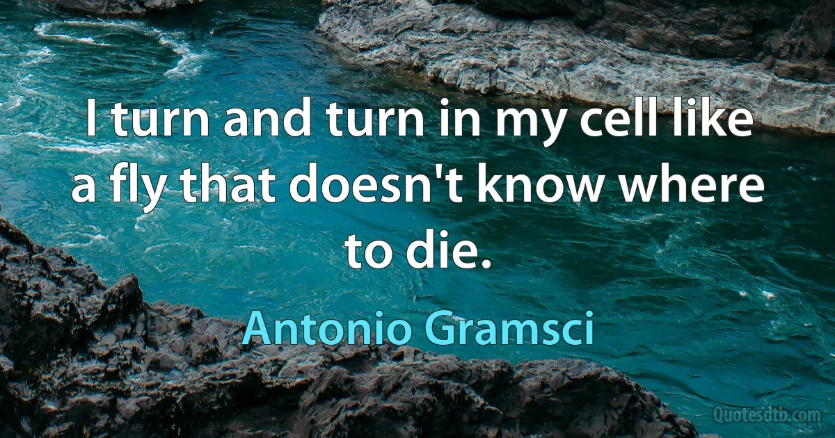 I turn and turn in my cell like a fly that doesn't know where to die. (Antonio Gramsci)